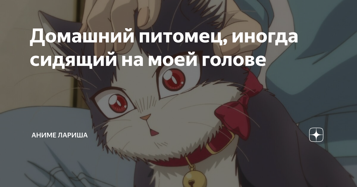 Домашний питомец, иногда сидящий на моей голове | аниме Лариша | Дзен