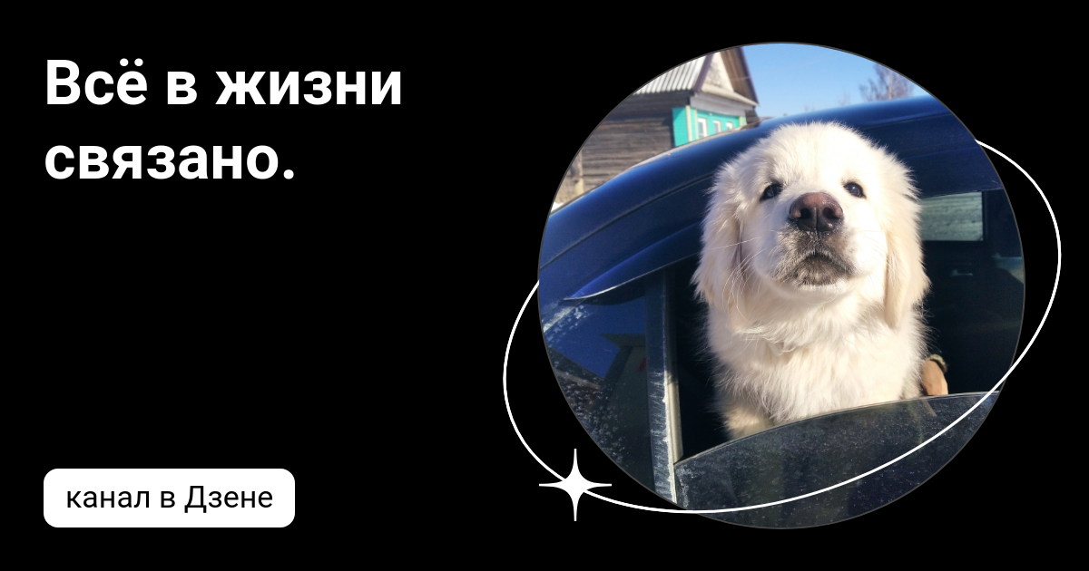Всё в жизни связано. | Дзен