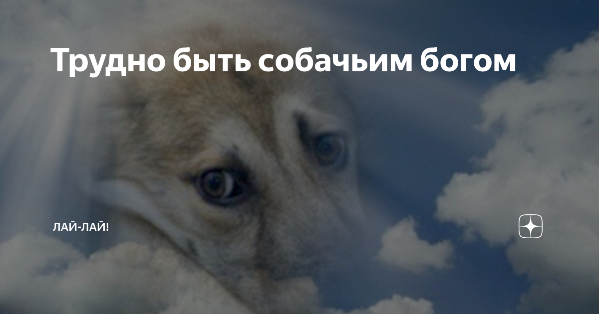 Бог всех собак. Царствие небесное собаке. царство небесное собаке. бог собака. собачий бог.