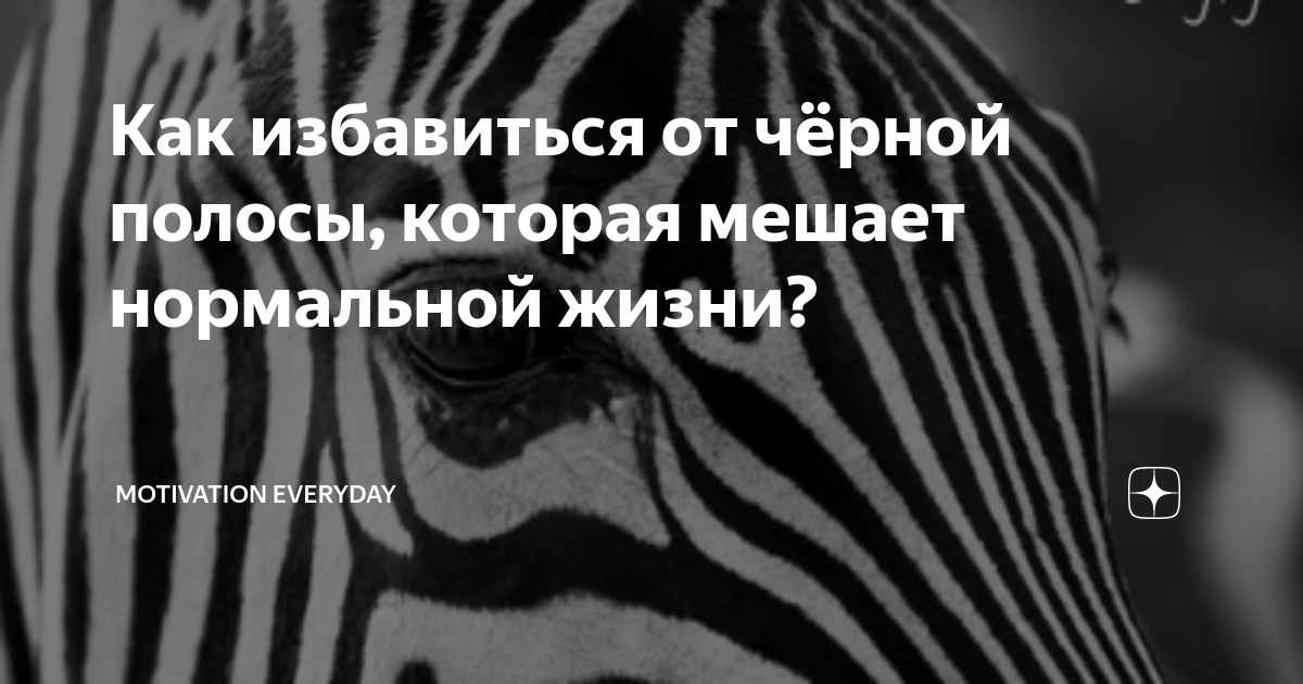 Психолог объяснил, как справиться с «черной полосой» в жизни - avtopilot102.ru | Новости