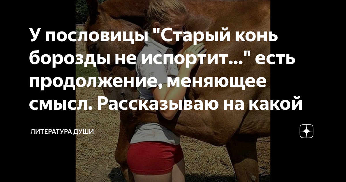 Дорогая сказать вам позвольте старый конь борозды. Старый конь борозды продолжение. Старый конь борозды не испортит. Конь в борозде. Старый конь борозды не портит фото.