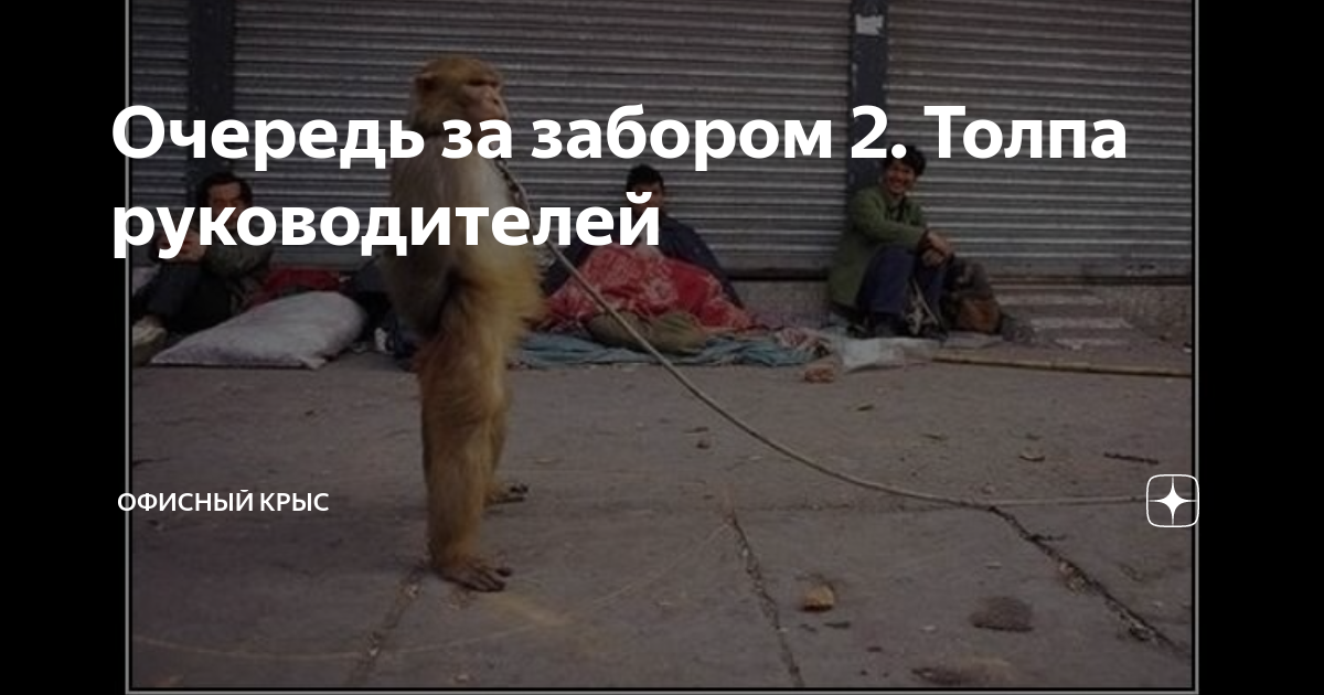 Песня очередь за забором ржд. Очередь за забором прикол. очередь за забором мем. увольняйтесь за забором очередь. очередь за забором на работу.