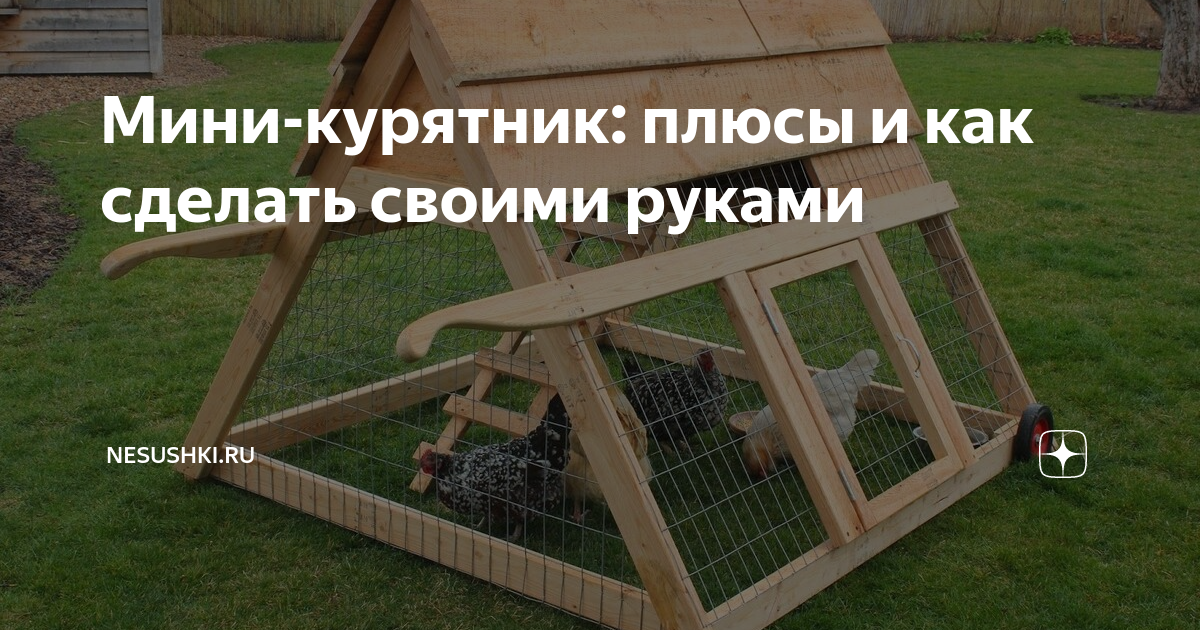 Курятник 4, треугольник или треугольный?