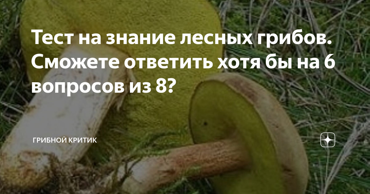 Тест на знание лесных грибов. Сможете ответить хотя бы на 6 вопросов из ...