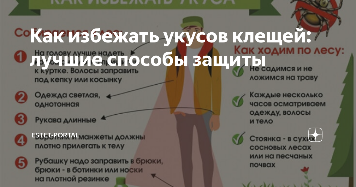 Как избежать укуса клеща. Как избежать их укусов клещей. Способы защиты от укусов клеща. Правила чтобы избежать укуса клеща.