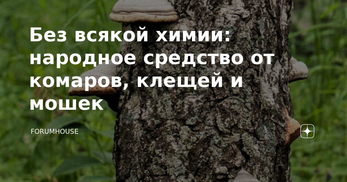 Без всякой химии: народное средство от комаров, клещей и мошек