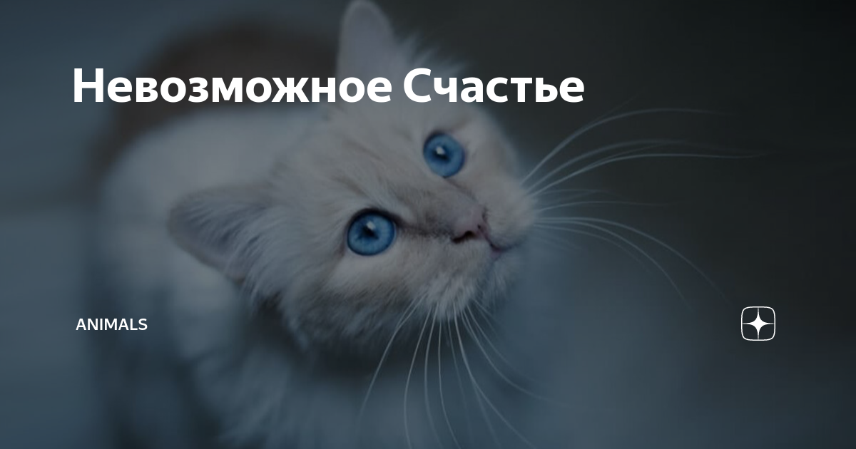 Вдохновляющие цитаты. Это было невозможное счастье. Это было невозможное счастье. Ты никогда не удержишь силой дождь человека и жизнь. Это было невозможное счастье.