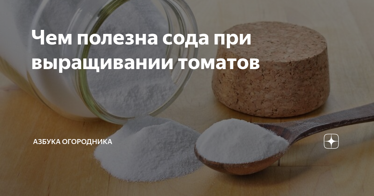 Рецепт подкормки содой. Сода в огороде. Сода в огороде. Сода для подкормки. Пищевая сода для сада и огорода.
