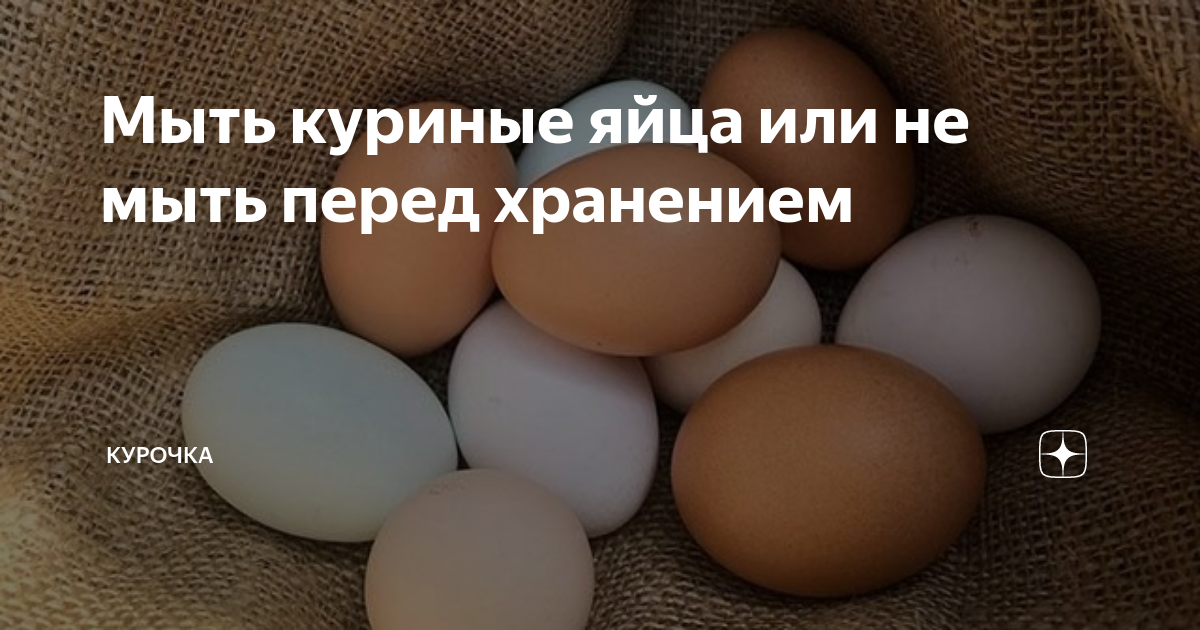 Яйцо куриное мытое и дезинфицированное. Как правильно мыть куриные яйца в домашних условиях. Можно ли мыть домашние яйца перед хранением