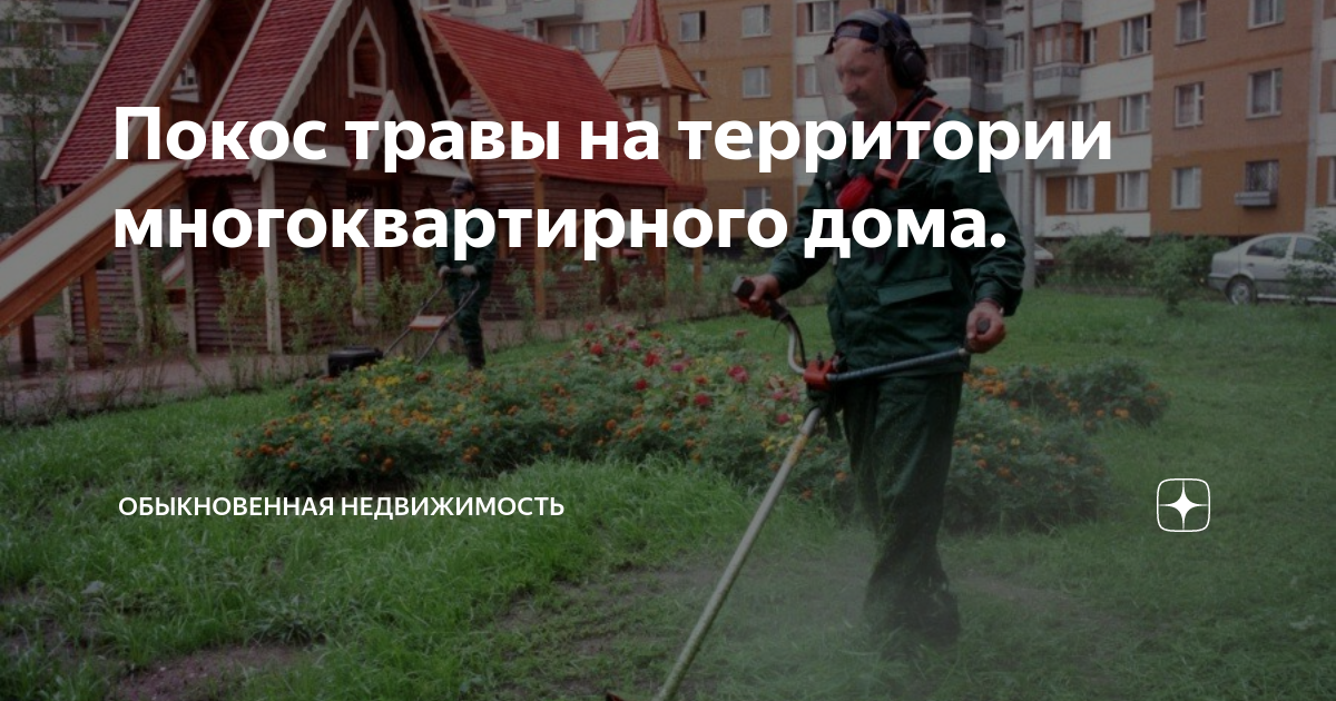 Покос травы на территории многоквартирного дома. | Обыкновенная ...