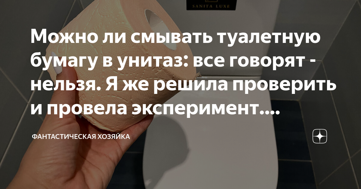 Можно ли смывать в унитаз туалетную бумагу. Можно ли смывать бумагу в унитаз. Смывать только туалетную бумагу.