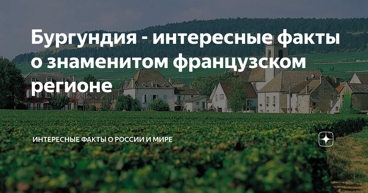 Бургундия шампань или прованс. Бургундия Нормандия шампань или Прованс. Бургундия Нормандия шампань или Прованс Мем. Бургундия Нормандия шампань или Прованс текст.