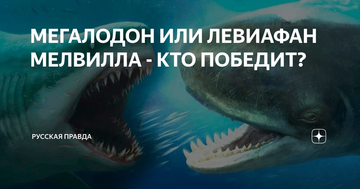 МЕГАЛОДОН ИЛИ ЛЕВИАФАН МЕЛВИЛЛА - КТО ПОБЕДИТ? | РУССКАЯ ПРАВДА | Дзен