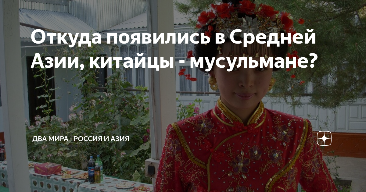 китайцы и россия