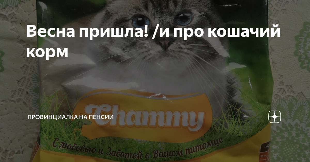 Весна пришла! /и про кошачий корм | Провинциалка на пенсии | Дзен