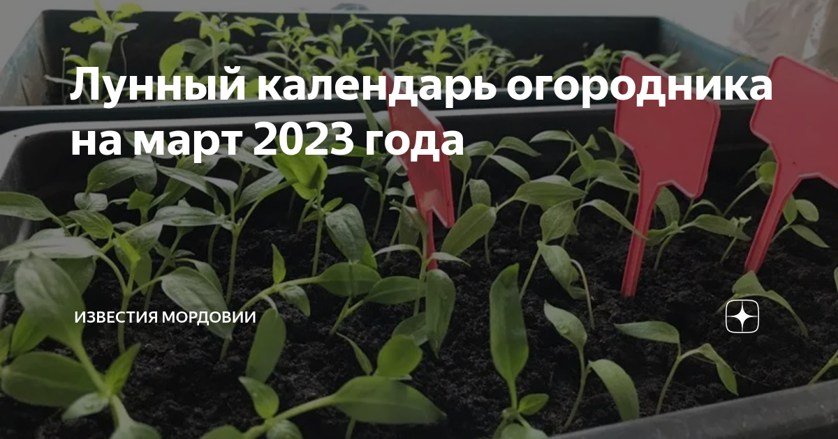 благоприятные дни для рассады на 2023 год. лунный календарь перцев 2023. лунный календарь посадок. лунный календарь посадок. лунный календарь для посадки рассады на 2023 год.