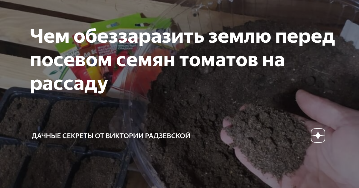 Земля перед посадкой. Чем обеззаразить почву перед посадкой. Чем полить землю перед посевом семян на рассаду. Чем обработать грунт перед посадкой. Обработка почвы перед посевом