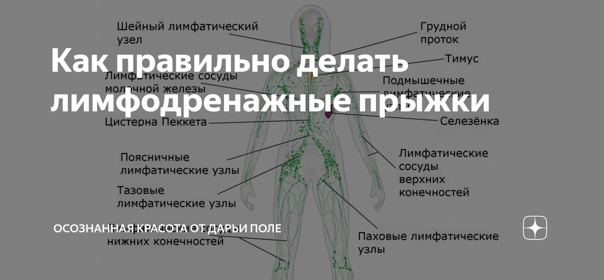 Как разогнать лимфу для похудения. Лимфатические прыжки. Упражнения для разгона лимфы. Лимфатические прыжки как правильно делать. Упражнения для разгона лимфы в ногах.