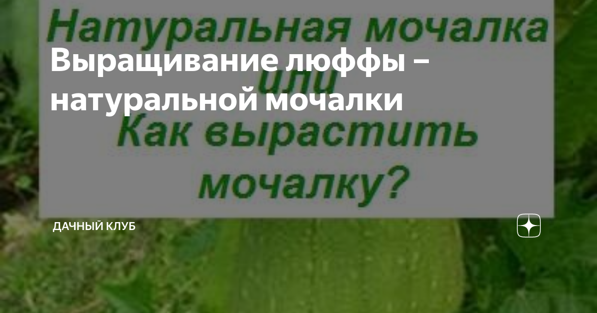 Ангелы из мочалки, люфы, своими руками. Мастер класс и подборка изделий из люфы | oblacco