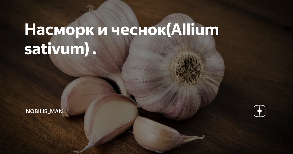 Чеснок при панкреатите. Чеснок при сахарном диабете. Чеснок для разжижения крови. Полезен ли чеснок для разжижения крови.