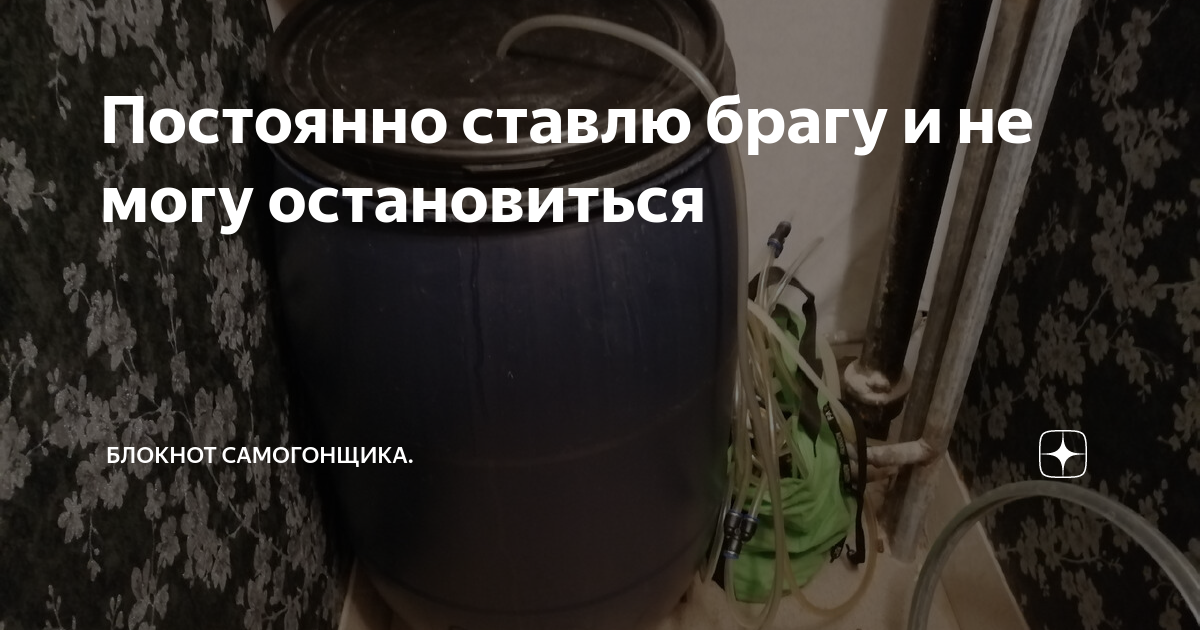Постоянно ставлю брагу и не могу остановиться | Блокнот Дачника ...