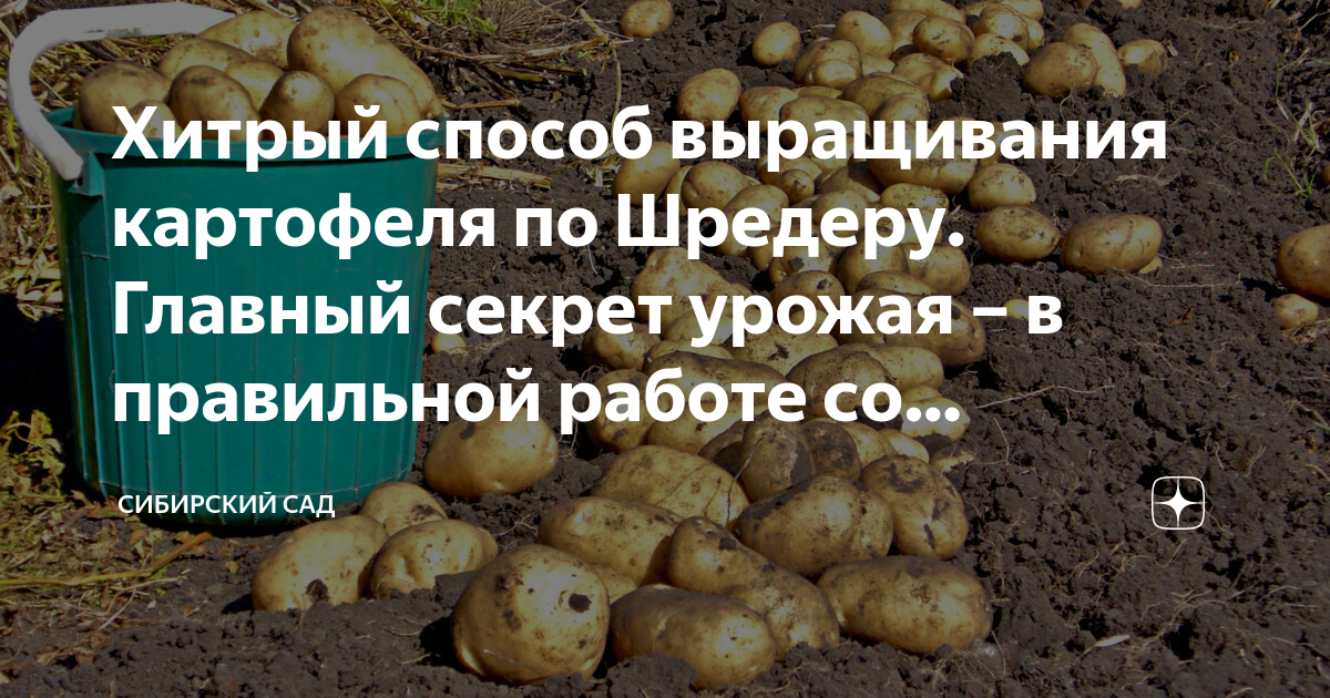 За день егор выкопал 9 ведер картошки вместо 12 сколько процентов плана осталось не выполнено