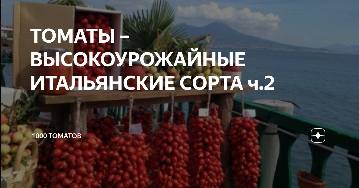 ТОМАТЫ – ВЫСОКОУРОЖАЙНЫЕ ИТАЛЬЯНСКИЕ СОРТА ч.2 | 1000 томатов | Дзен