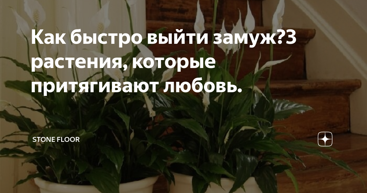 как быстро выйти замуж приметы