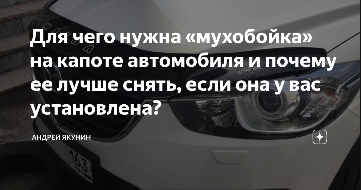 Мухобойка для автомобиля