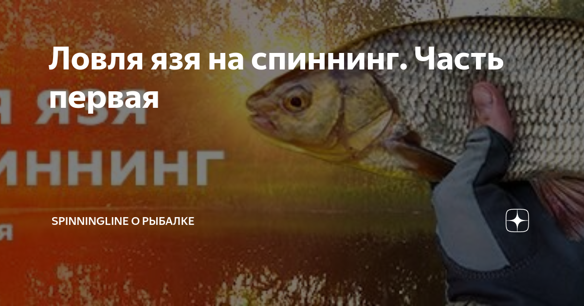 Ловля язя на спиннинг. Часть первая | Spinningline О рыбалке | Дзен