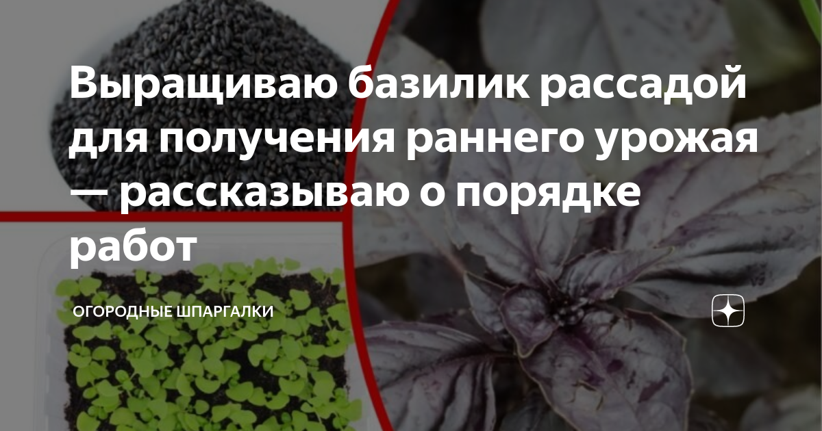 посадка огорода. рабочая таблица по уходу за кабачками. для получения раннего урожая. под зиму посадить по геотекстилю урожай. какие раньше были огурцы.