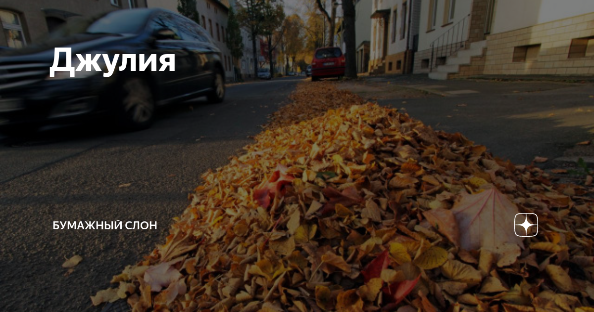 Джулия | Бумажный Слон | Дзен