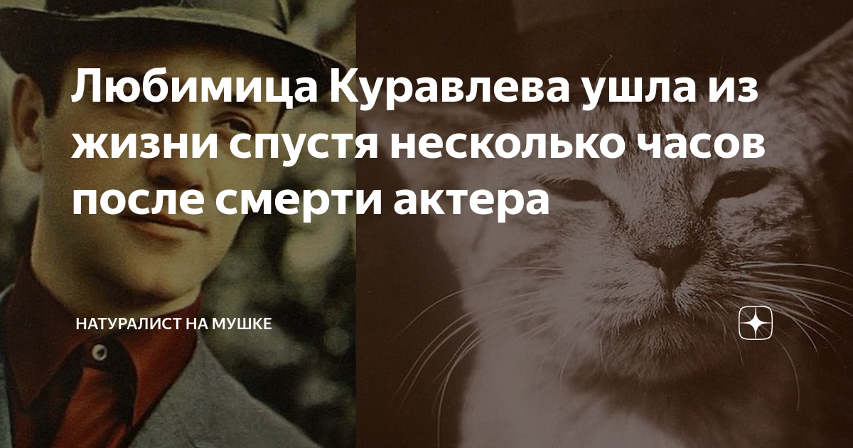 Жизнь спустя
