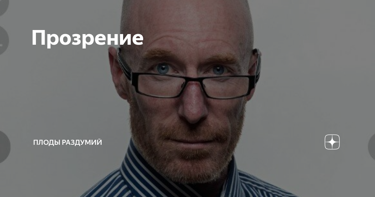 плоды раздумий дзен