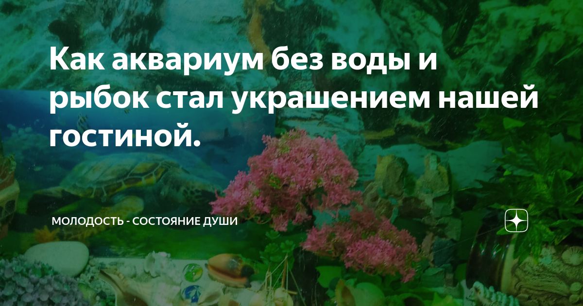 Как сохранить чистую воду в небольшом искусственном водоеме?