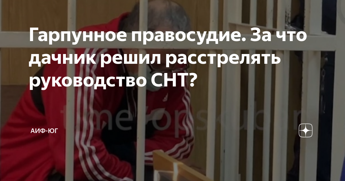 Гарпунное правосудие. За что дачник решил расстрелять руководство СНТ ...