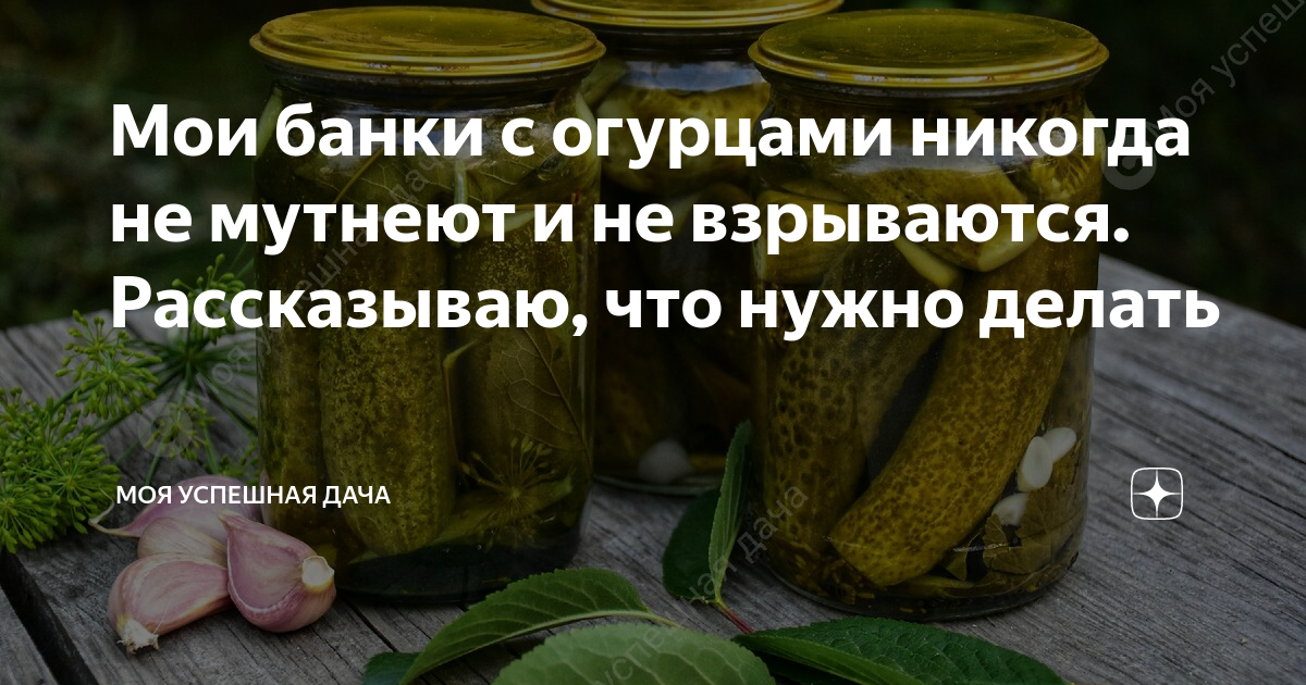 8 советов что делать чтобы банки с огурцами не взрывались и не мутнели « БНК