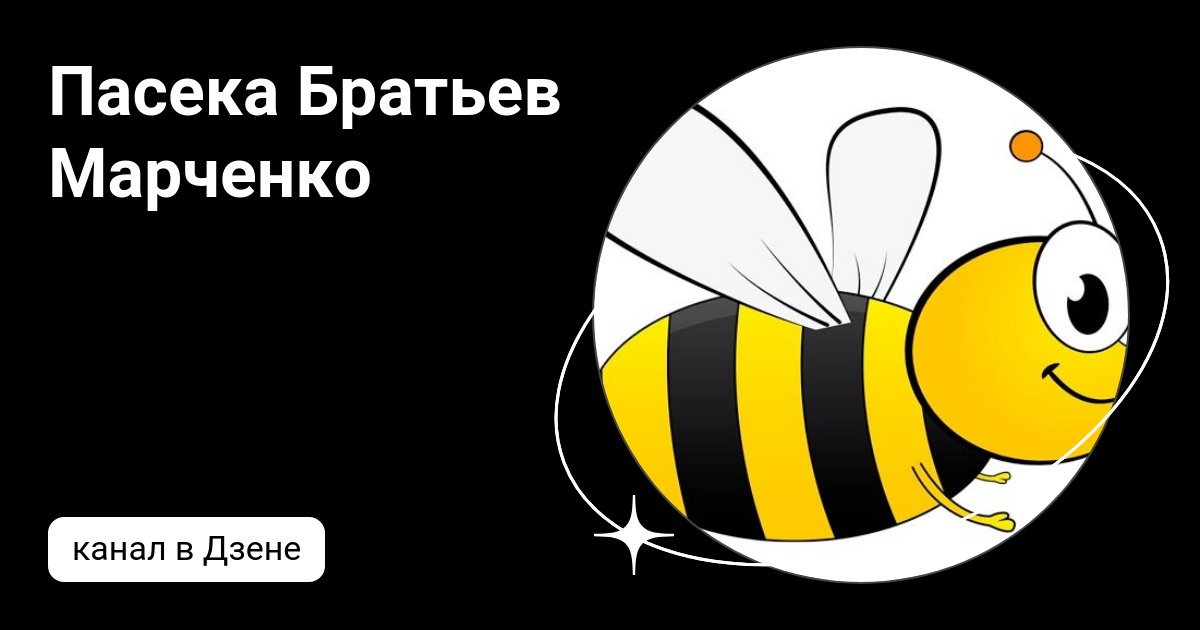 Пчеловодство марченко. Пчеловоды братья марченко видео. Пчеловоды братья марченко видео. Пчеловоды братья марченко видео. Пчеловоды братья марченко видео.