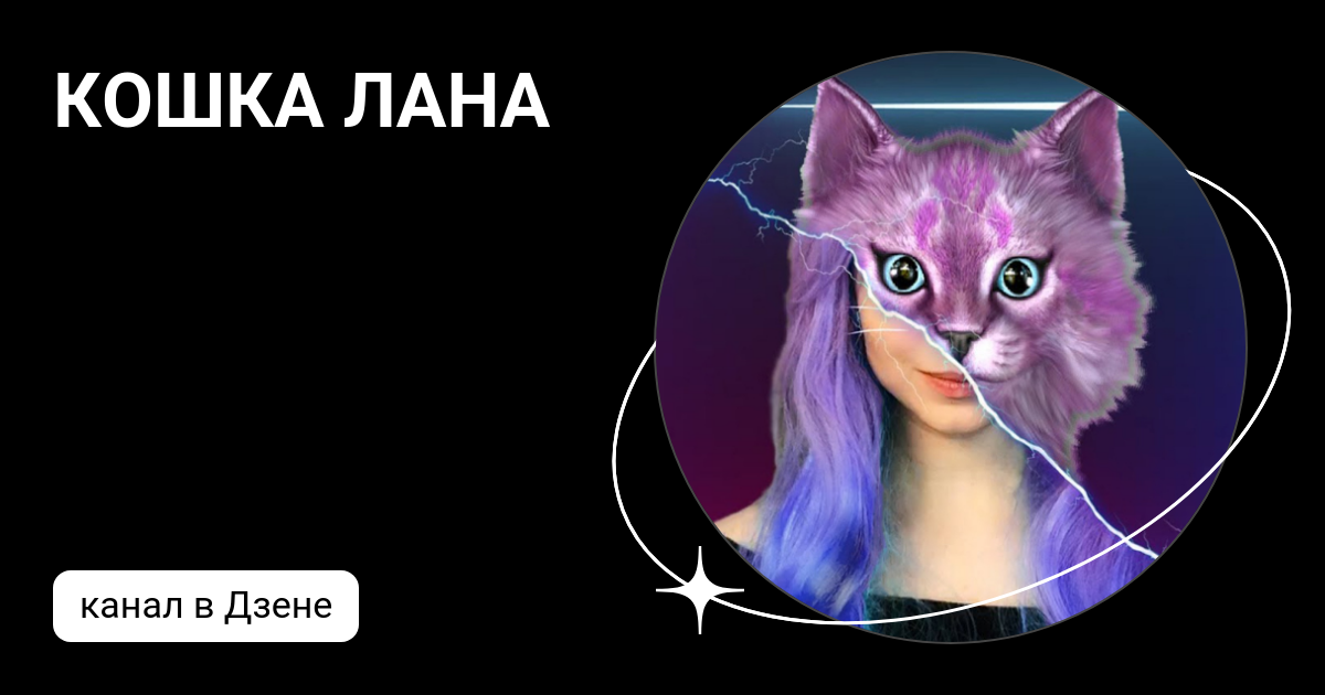 КОШКА ЛАНА | Дзен