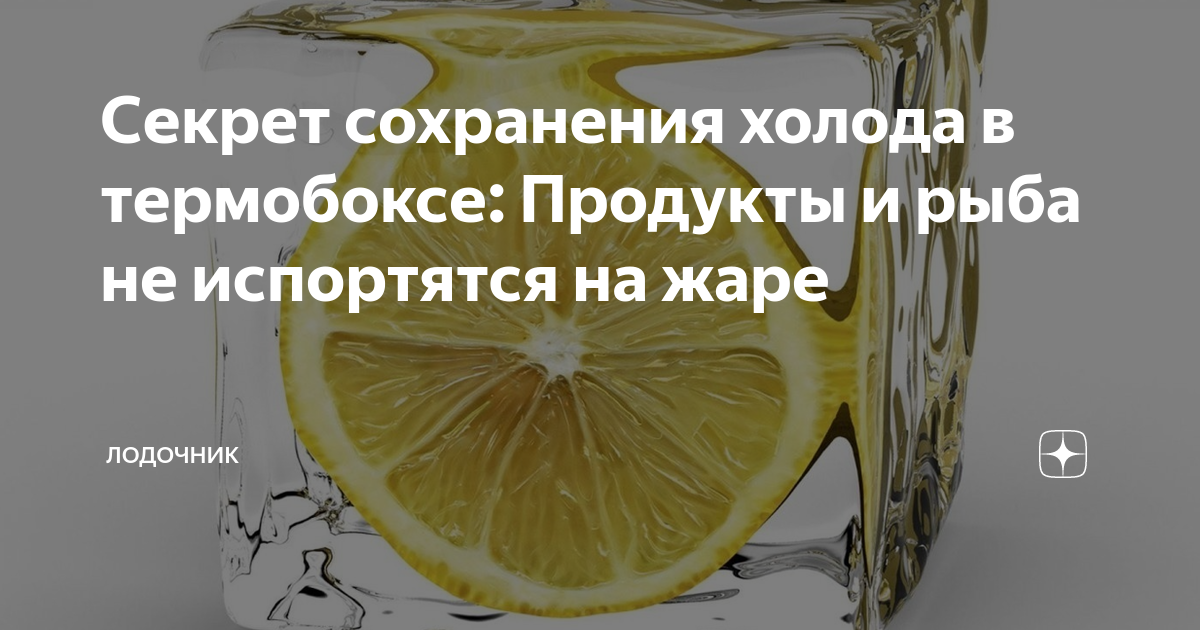 Секрет сохранения холода в термобоксе: Продукты и рыба не испортятся на ...