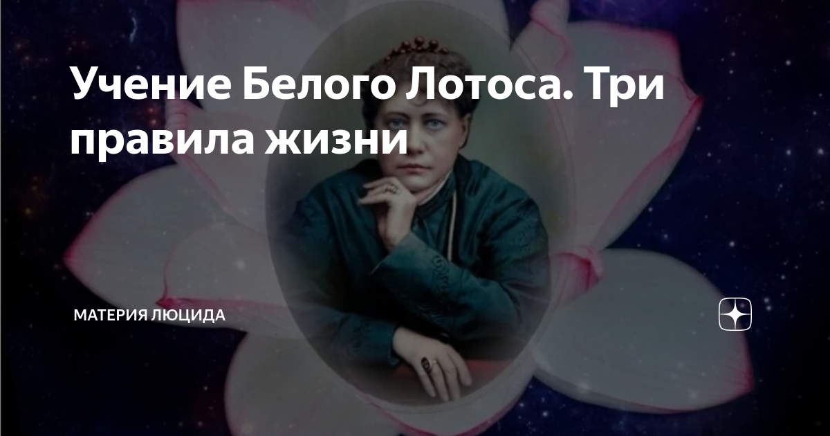 Учение Белого Лотоса. Три правила жизни | Материя Люцида | Дзен