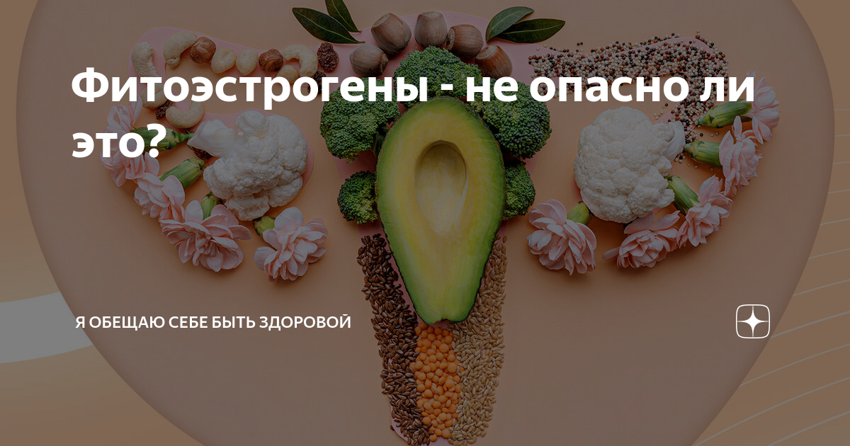 Фитоэстрогены - не опасно ли это? | Я обещаю себе быть здоровой | Дзен