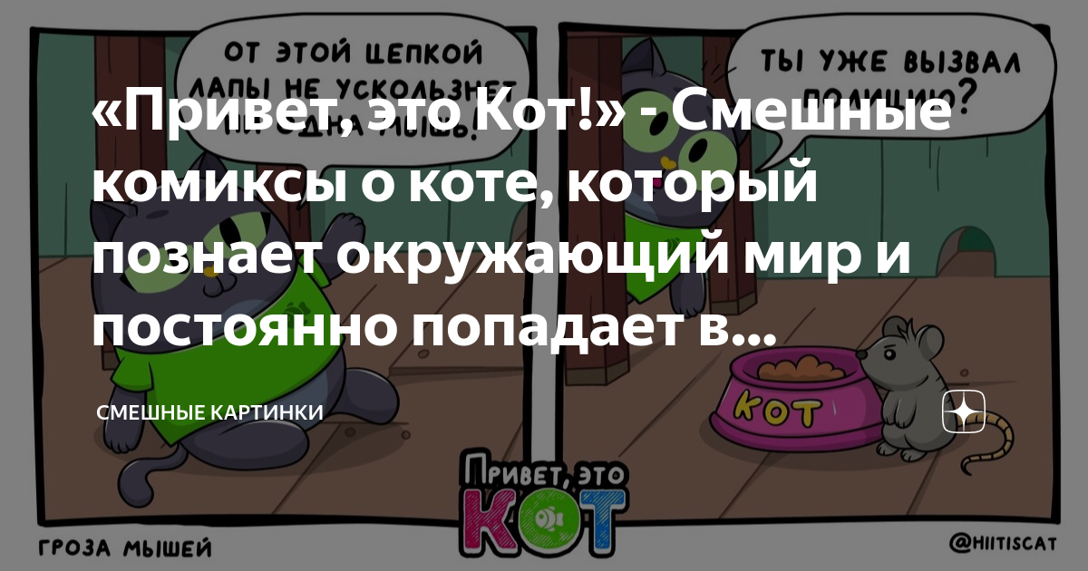 Карта кота по версии кота