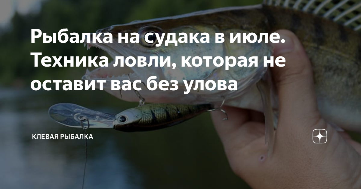 Рыбалка на судака в июле. Техника ловли, которая не оставит вас без ...