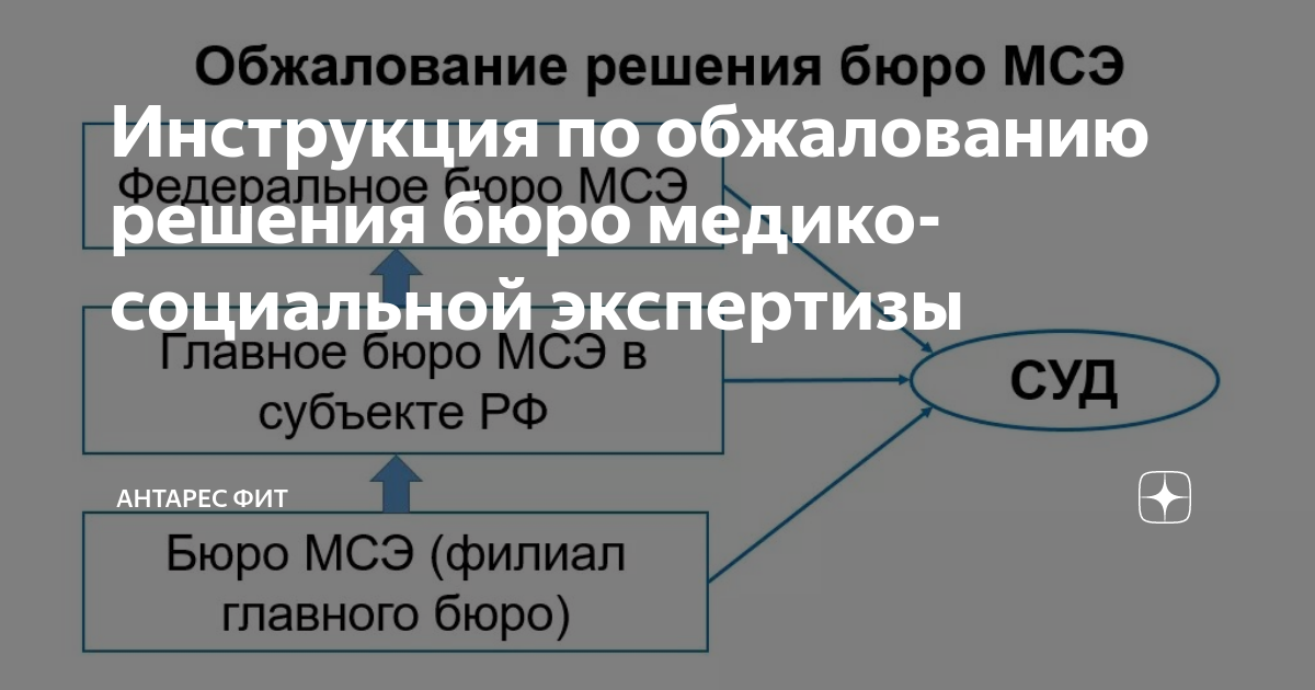 Апелляция мсэ. Образец обжалования решения в бюро медико-социальной экспертизы. Заявление на обжалование МСЭ В главное бюро. Заявление по обжалованию решения бюро МСЭ. Обжалование медико-социальной экспертизы образец.