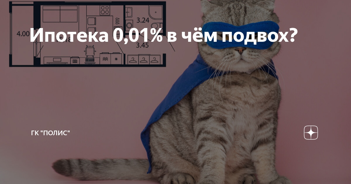 Ипотека под 0.1 процент в чем подвох. Удивленный кот фото. Саб кошкам.