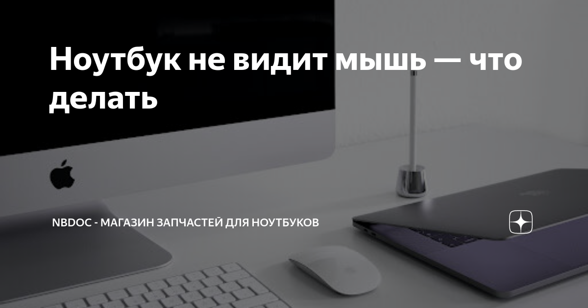 7 Решений: Как Исправить Неработающую Мышь на Ноутбуке?