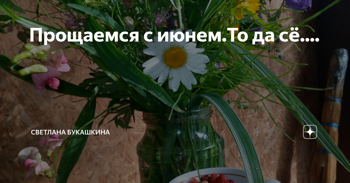 Прощаемся с июнем.То да сё.... | Светлана Букашкина: о загородной жизни ...
