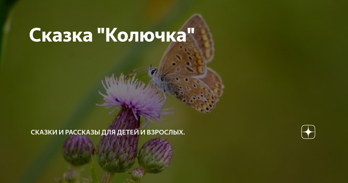 Колючка книга читать полностью. Цепляй ко всем.