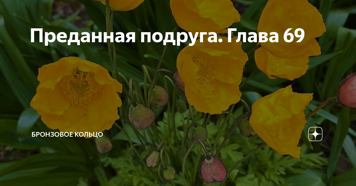 Преданная подруга. Глава 69 | Бронзовое кольцо | Дзен